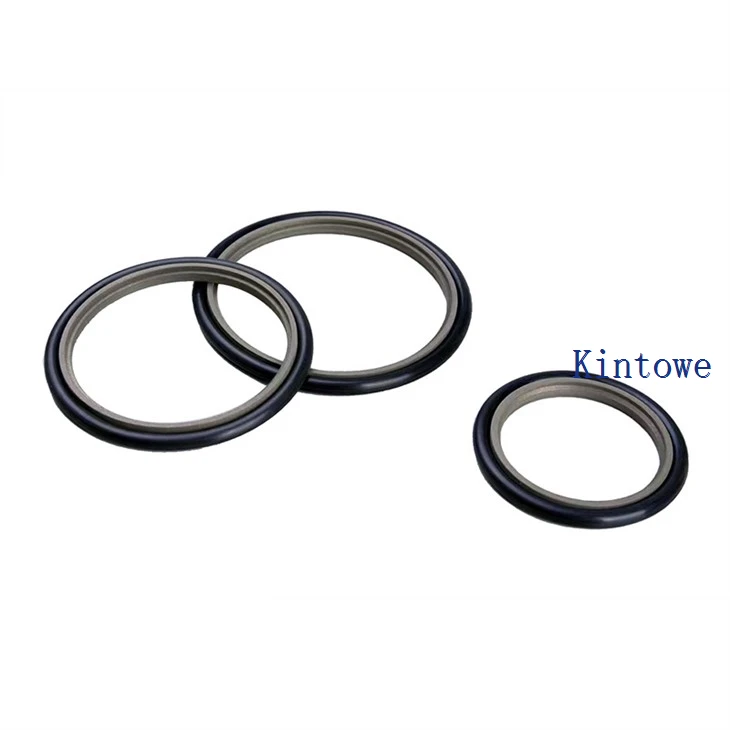 Rod Step Seals